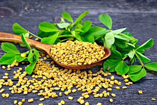 Fenugreek Extract
