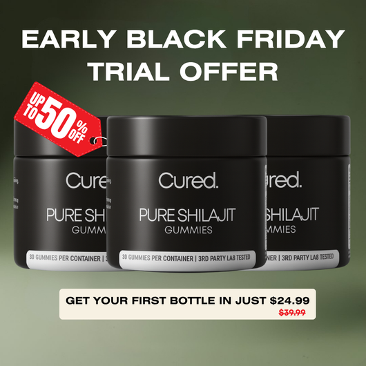 Healed Pure Shilajit Gummies
