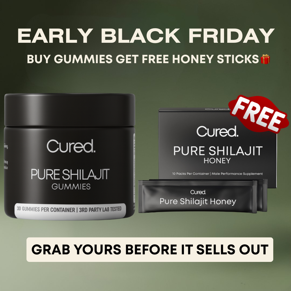 Healed Pure Shilajit + Honey Sticks